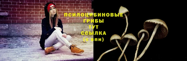 МДПВ Володарск
