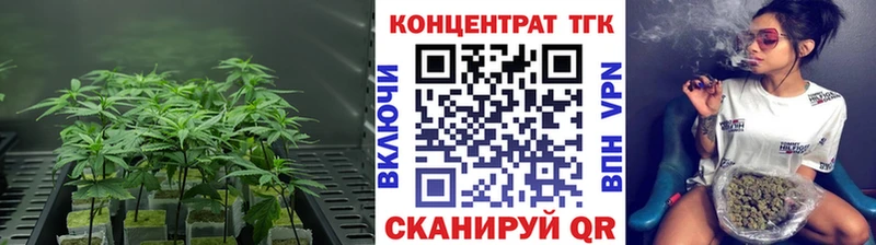 купить   Жиздра  ТГК концентрат 