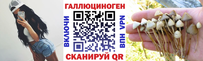 наркотики  Жиздра  Псилоцибиновые грибы Magic Shrooms 